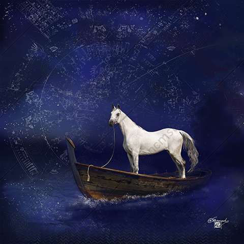 Equine art with horse in a boat adrift