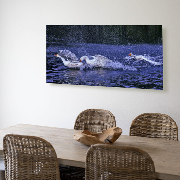 Goose Chase - Image 2