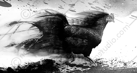 Abstract B&W Chicken Running