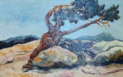 The Allure of Trees