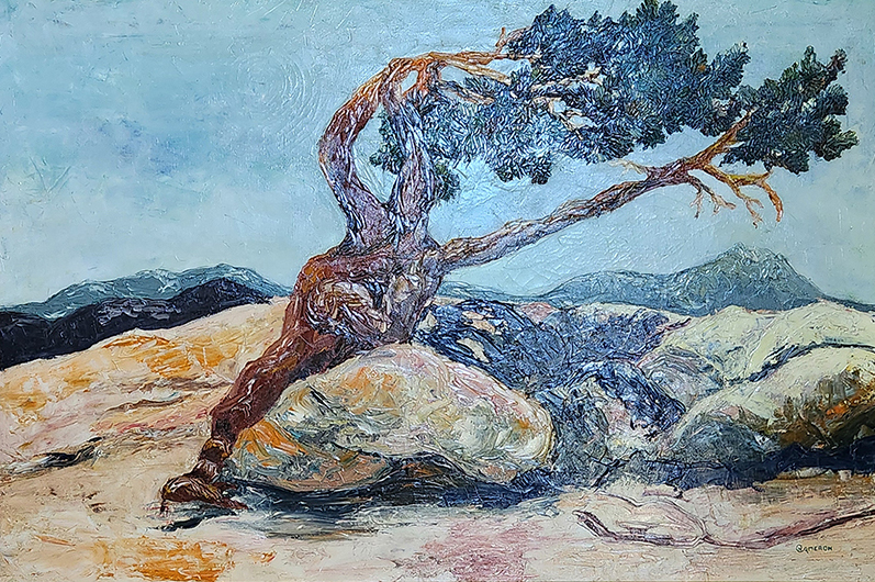 The Allure of Trees