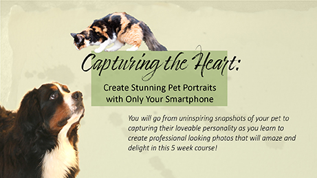 Pet Photography Course