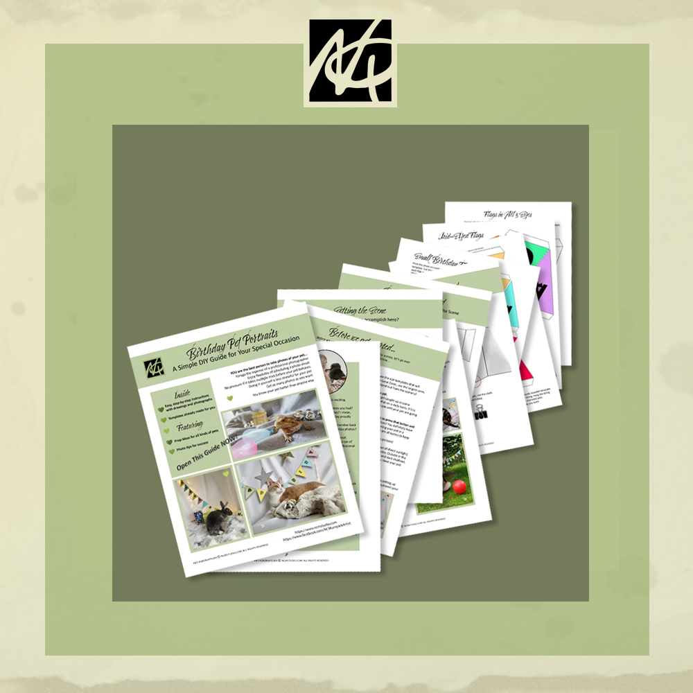 Pet Photography Guide