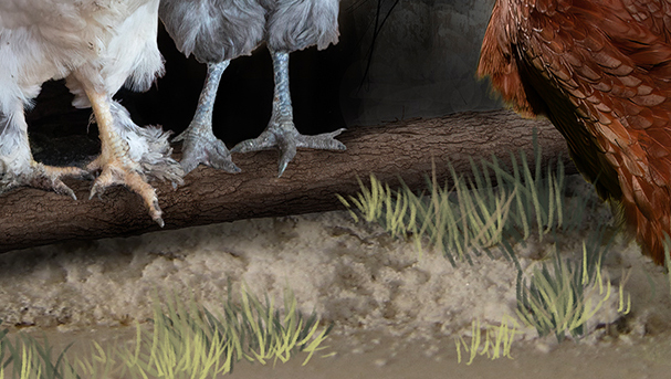 Adding ground and log to Idle Gossip artwork