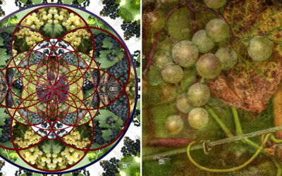 Mastering Composition in 2D Art