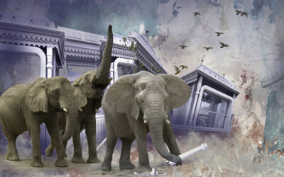 Today it’s Elephants! Creating Environmental Art